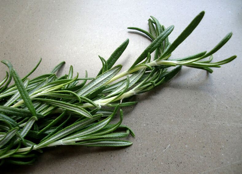 Rosemary para aumentar la potencia